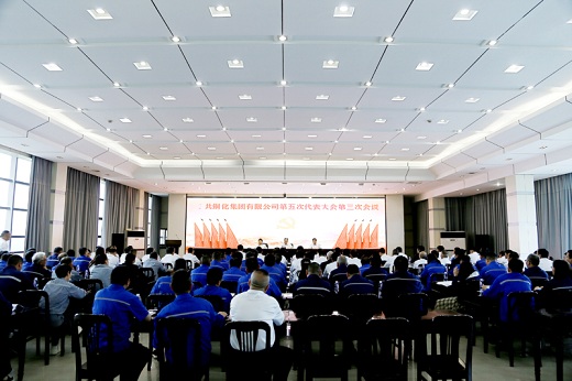 集團(tuán)公司召開(kāi)黨代會(huì)補(bǔ)選兩名第五屆黨委委員