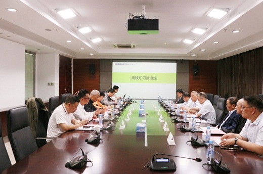 集團(tuán)公司聚焦硫鐵礦資源高效開(kāi)發(fā)