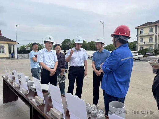 九三學(xué)社黃山市委員會走進(jìn)六國化工綠陽建材開展專題調(diào)研