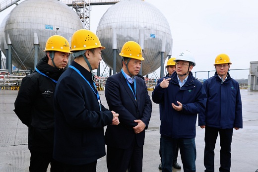 楊宏星來六國化工調(diào)研科技創(chuàng)新工作