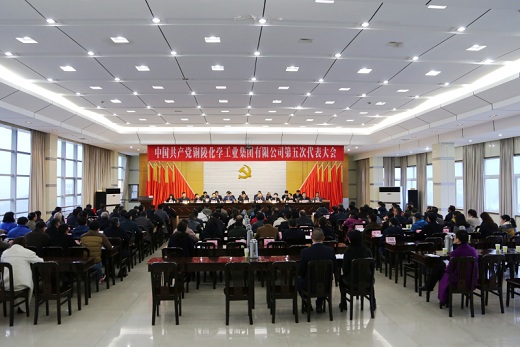 聚焦黨建引領(lǐng)　　聚力發(fā)展大局　　奮力譜寫(xiě)高質(zhì)量發(fā)展新篇章    公司第五次黨代會(huì)勝利召開(kāi)